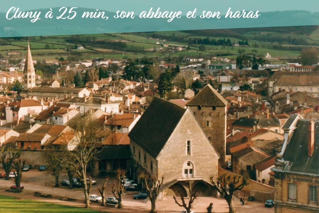 Cabana & Rustique - Proche Macon Nord Viré Екстериор снимка